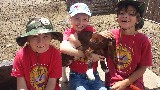 Happy Kids and Goat - 